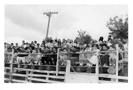 Toros en la calle Bayona IV