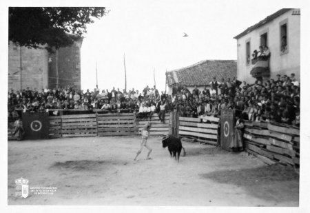 Toros en la Plaza de España V