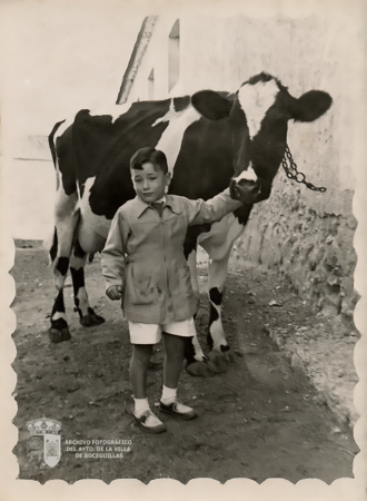 Manuel Barahona Estebaranz
